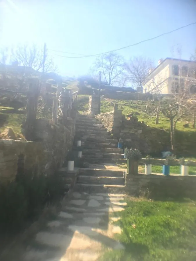 Homestay szállás Alice Pansiyon Cottage House