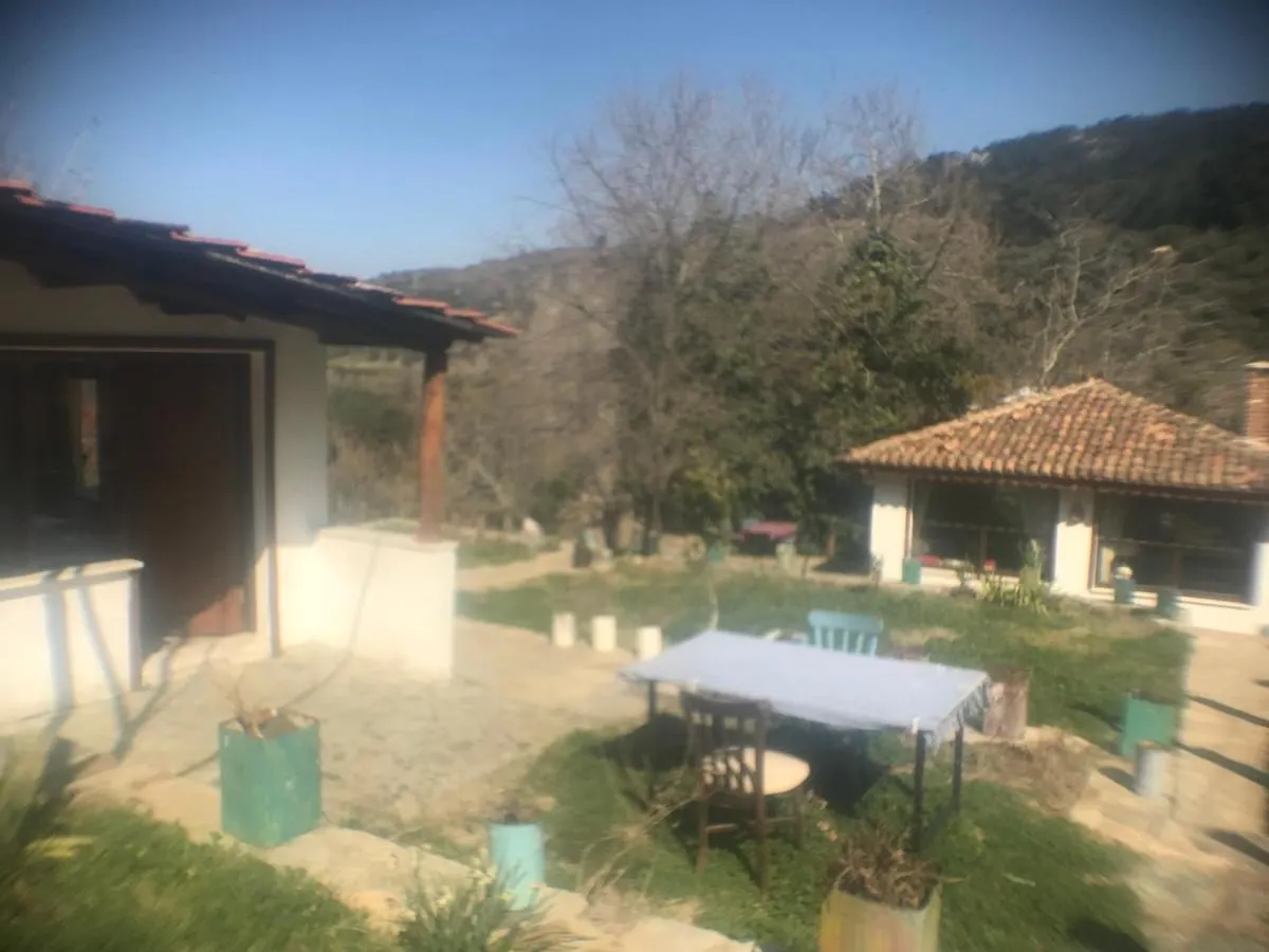 Alice Pansiyon Cottage House Selçuk