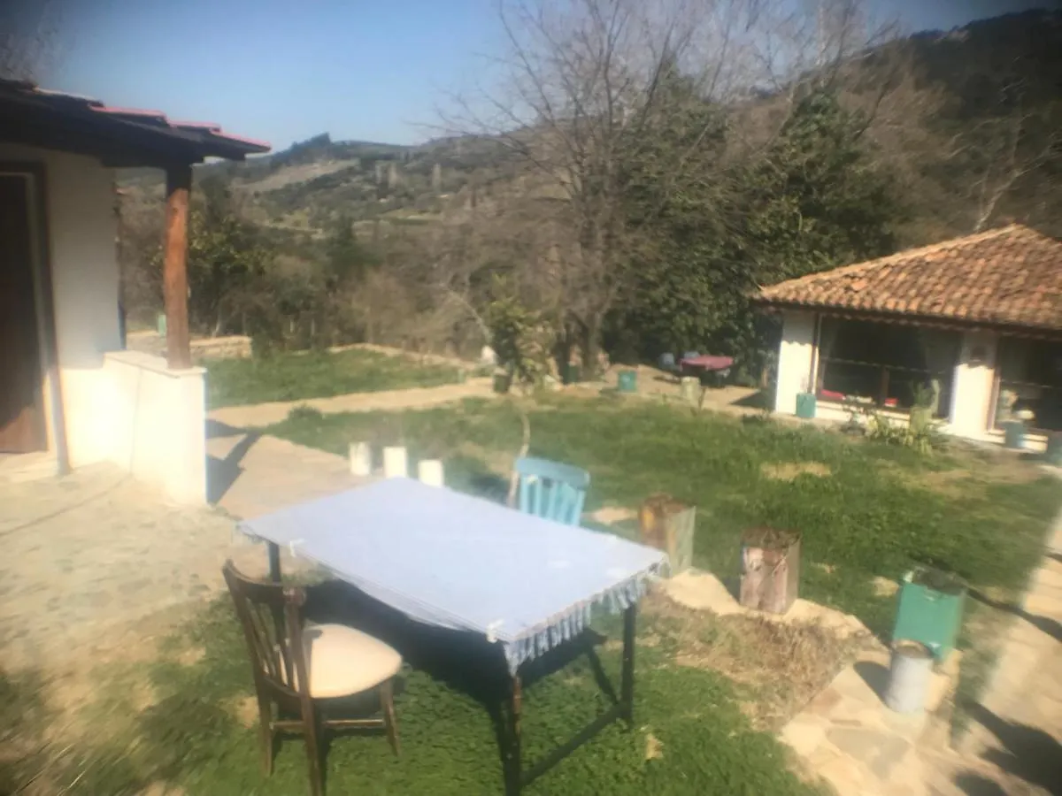 Alice Pansiyon Cottage House