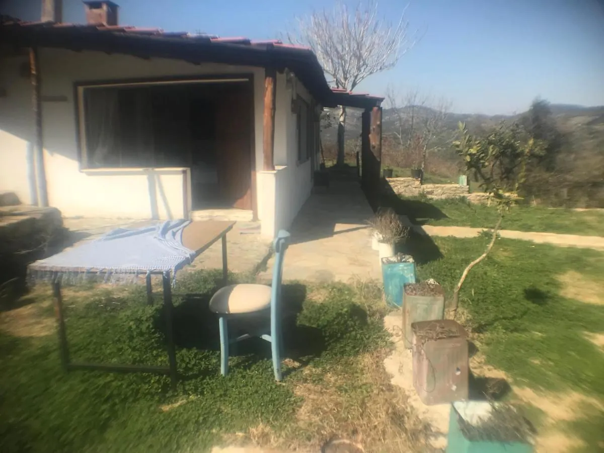 Privat bolig Alice Pansiyon Cottage House Tyrkiet