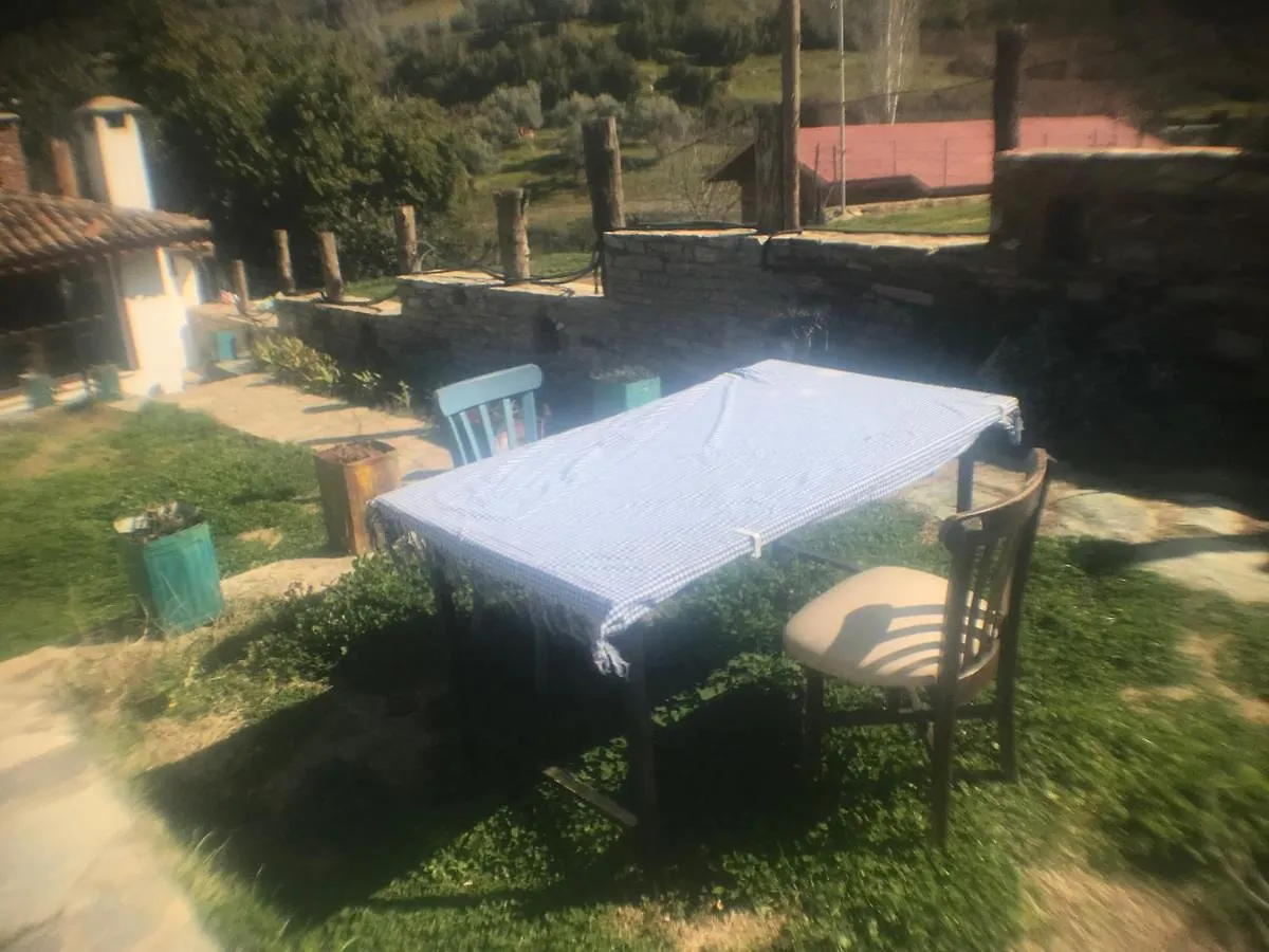 Privat bolig Alice Pansiyon Cottage House